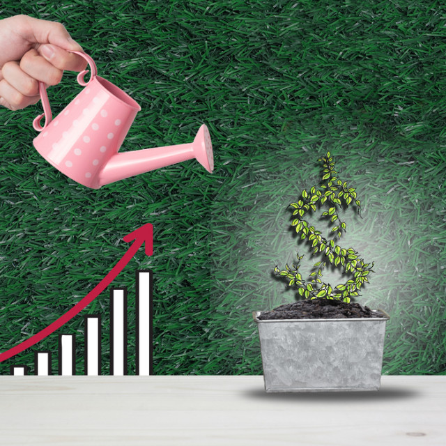 immagine rappresentativa del corso